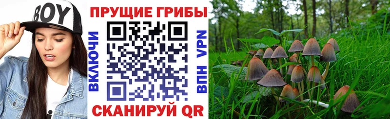 Галлюциногенные грибы мухоморы Купить Нижневартовск